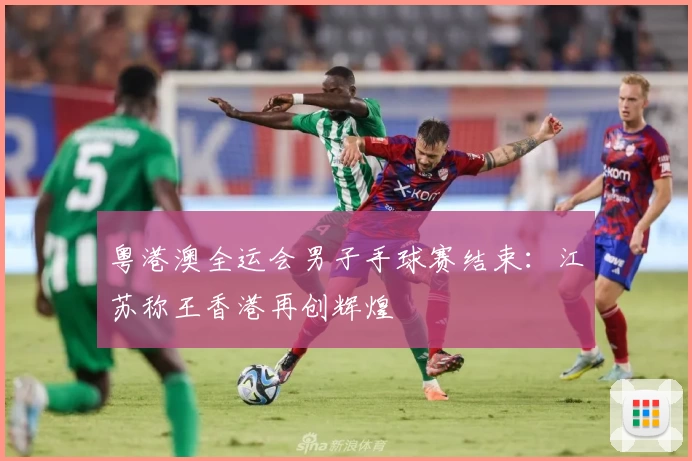 粤港澳全运会男子手球赛结束：江苏称王香港再创辉煌