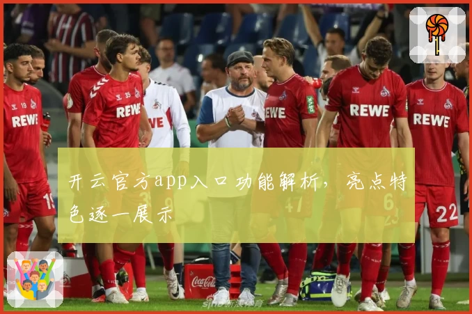 开云官方app入口功能解析，亮点特色逐一展示