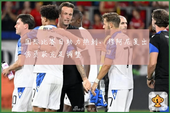 国际比赛日助力热刺,穆阿尼复出伤员获充足调整