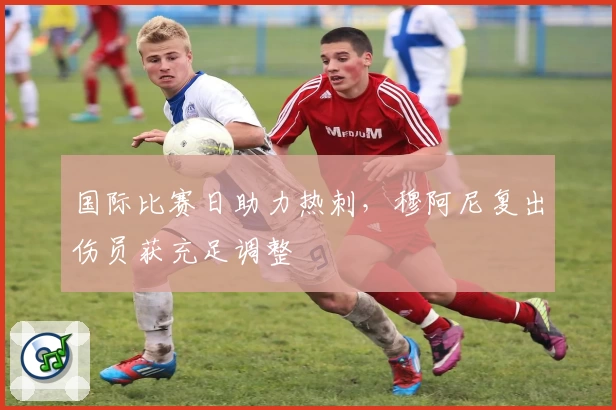 国际比赛日助力热刺，穆阿尼复出伤员获充足调整